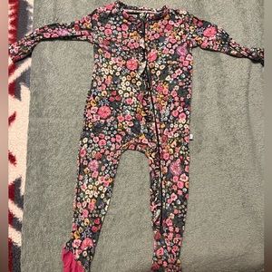 Posh peanut flower zippy